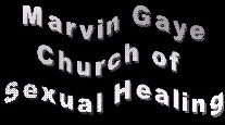 Marvin Gaye Church of Sexual Healing